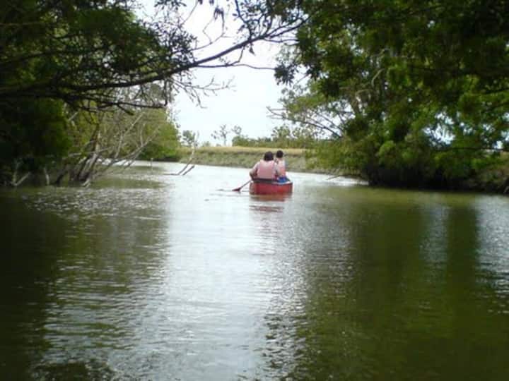 Le marais avec ses paysages, sa faune, sa flore et ses balades en canoé (location à proximité de la location, dans le village / avec ou sans guide)