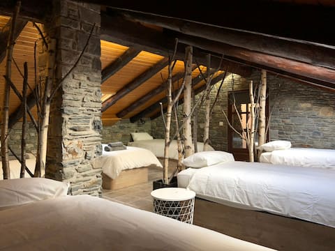 Cama en habitación compartida mixta de 6