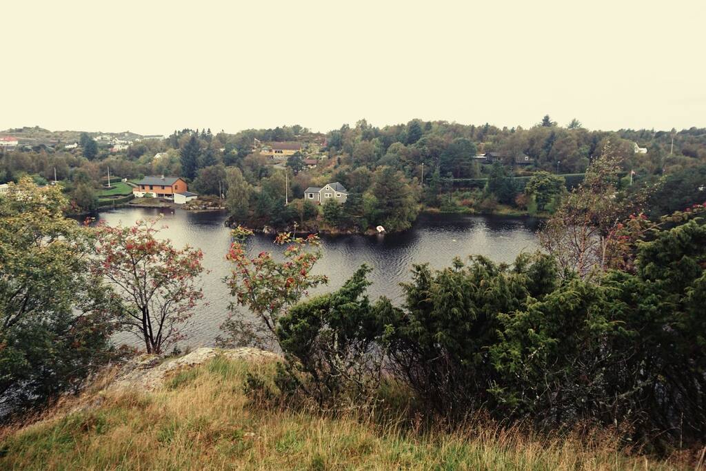 The grey cabin on the Runaway Island.