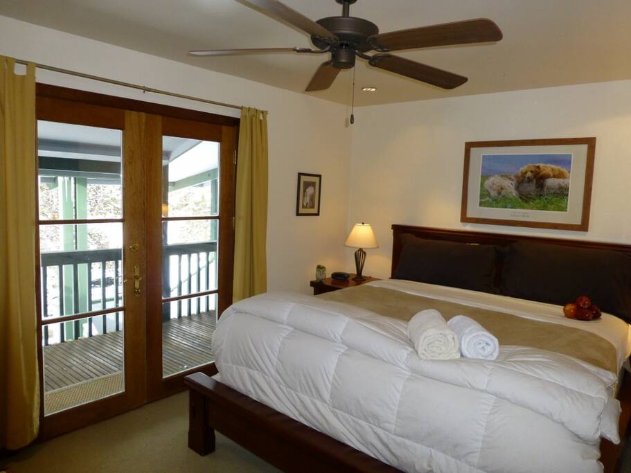 Master bedroom, King size bed