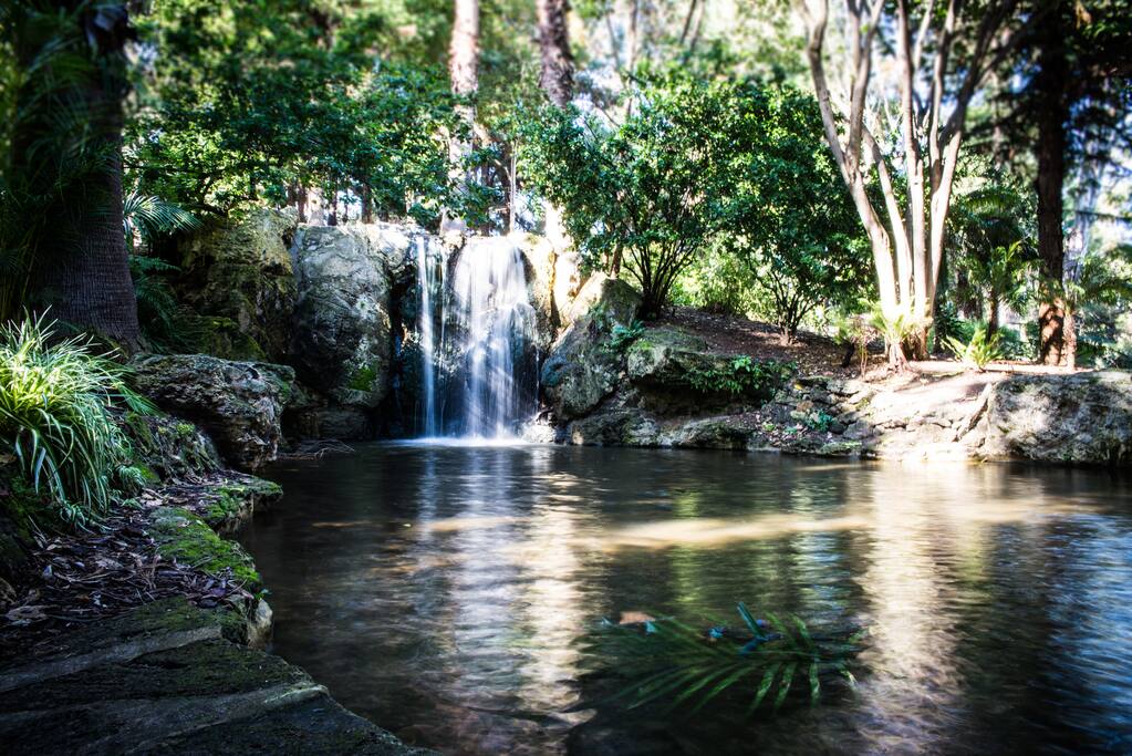 Walking trails lead to many places of discovery