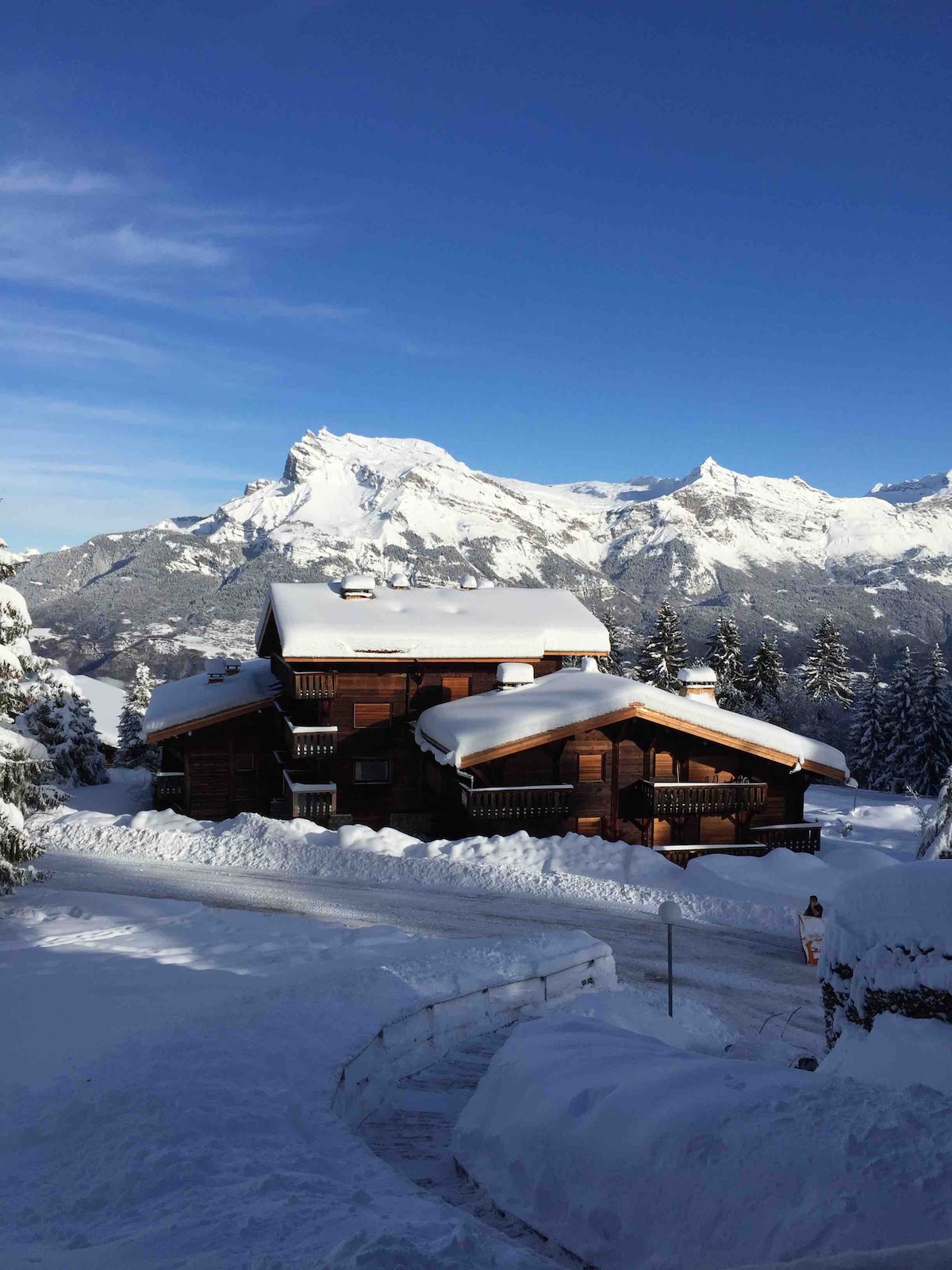 A mountain chalet is nestled among snow-covered trees, showcasing a classic wooden exterior. The surrounding landscape features majestic mountains, partially obscured by the clear blue sky. A snow-covered pathway leads to the entrance, inviting exploration of the serene winter scenery.