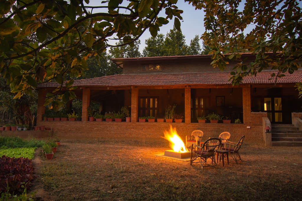 Evening Bonfire