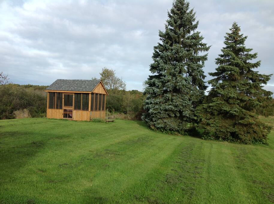 Grass for kids to play, and a gazebo for adults to enjoy local wine
