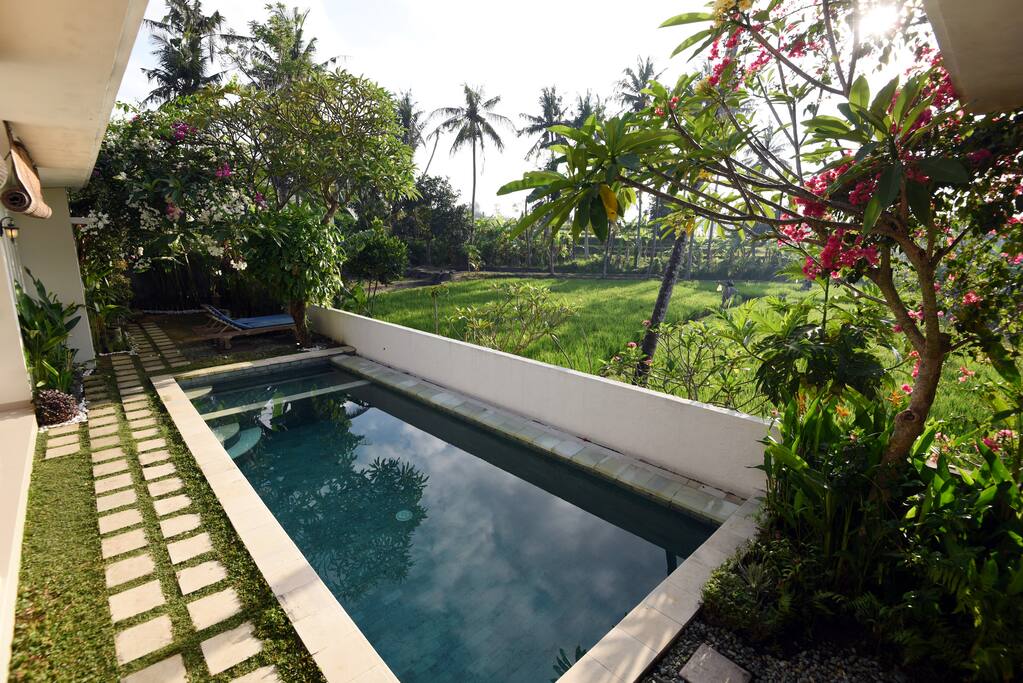 Spectacular view facing paddy field.