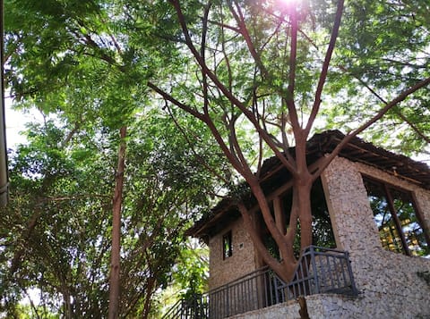Mestský dom na strome