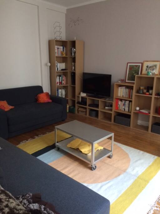 Salon avec TV