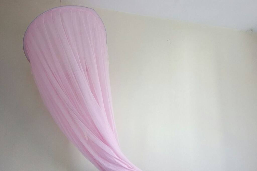 Mosquito Net