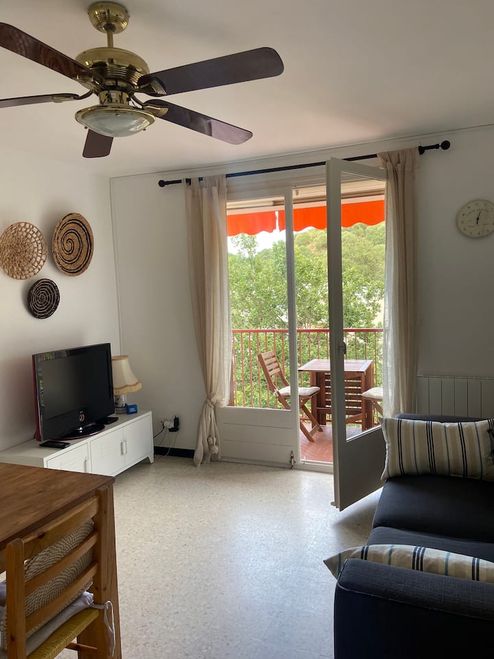 Bel Appartement Vue Mer Au Racou à 50m De La Plage - Collioure