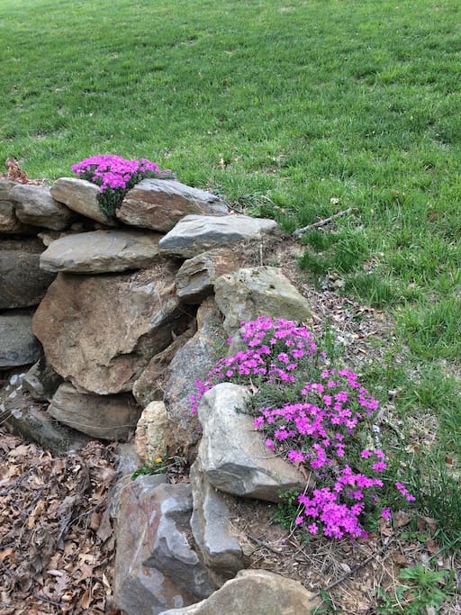 Spring is arriving!