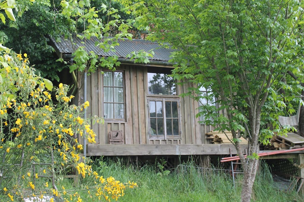 Nestled in the trees