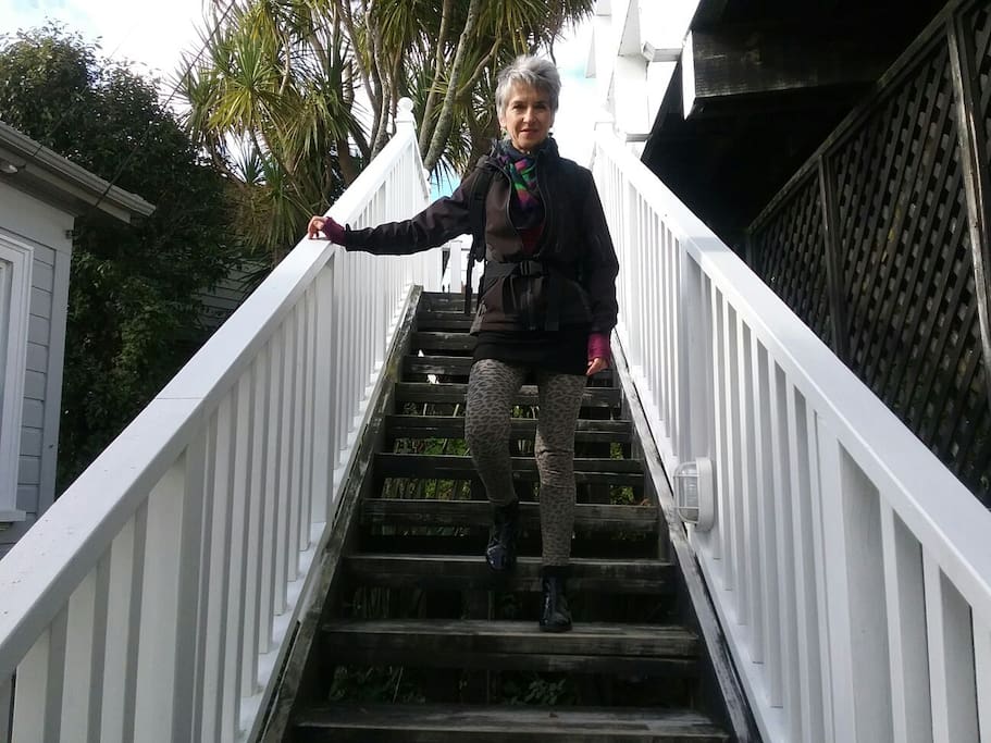 Steps leading down to the house.