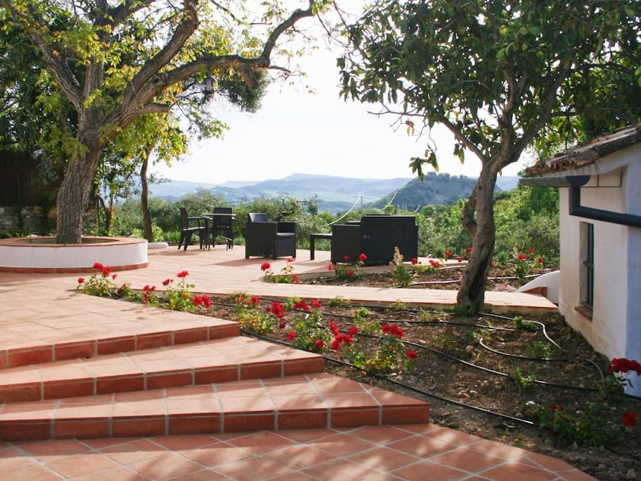 Terrace / Terraza