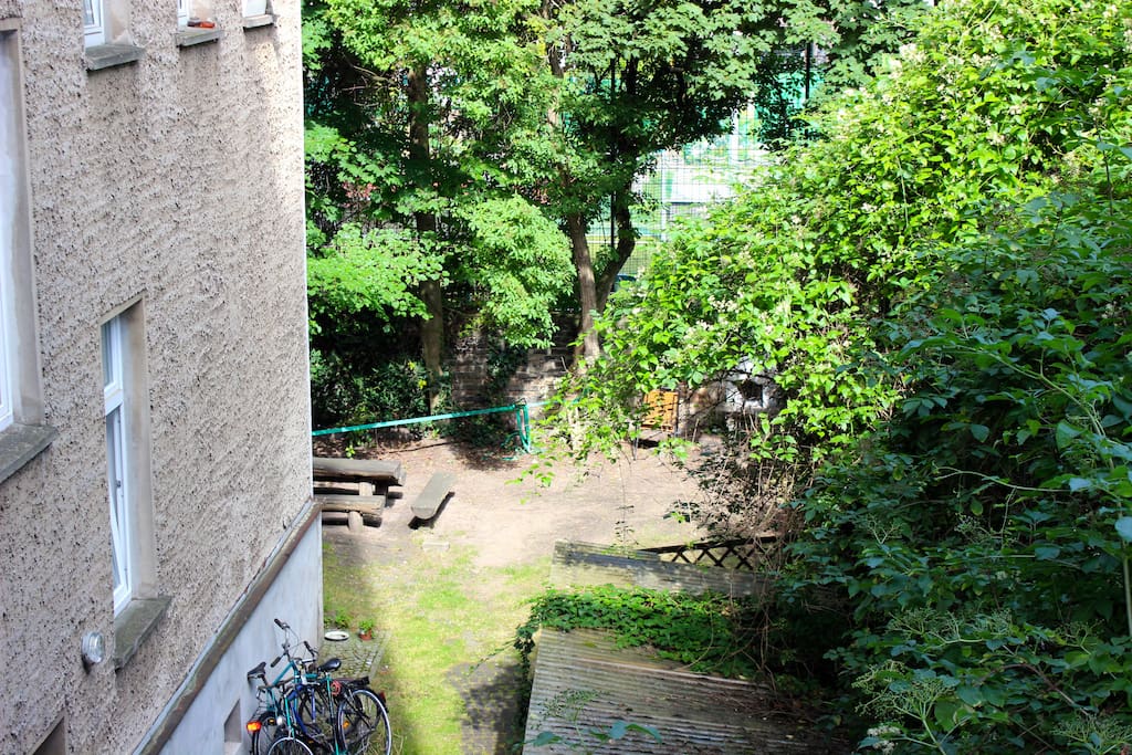 Our backyard