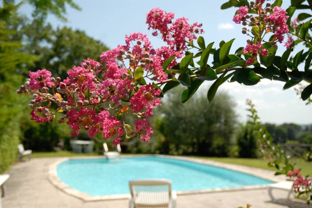 Piscina-swimming pool