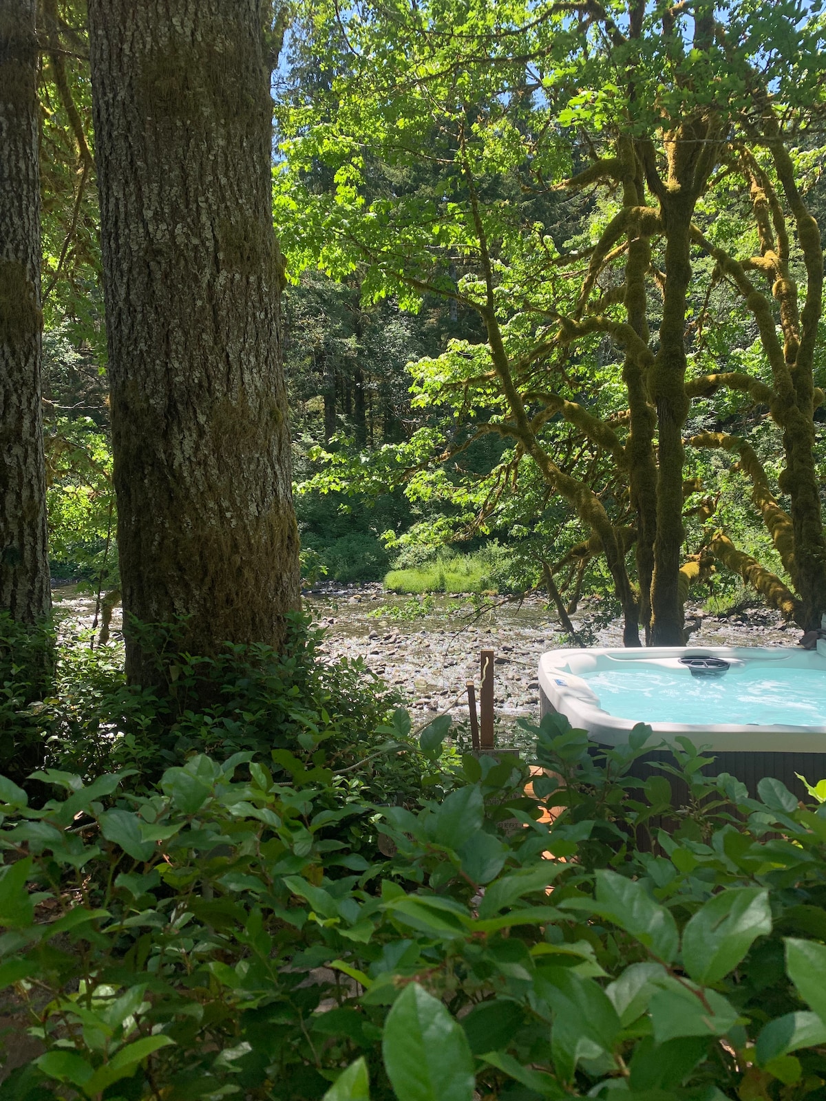 A hot tub is nestled among moss-covered trees, offering a secluded view of the lush greenery and rocky riverbed. Surrounding foliage includes vibrant green bushes, enhancing the natural tranquility of the space.