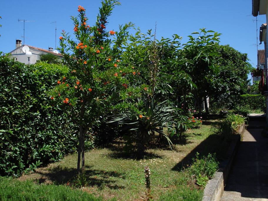 Garten am Haus