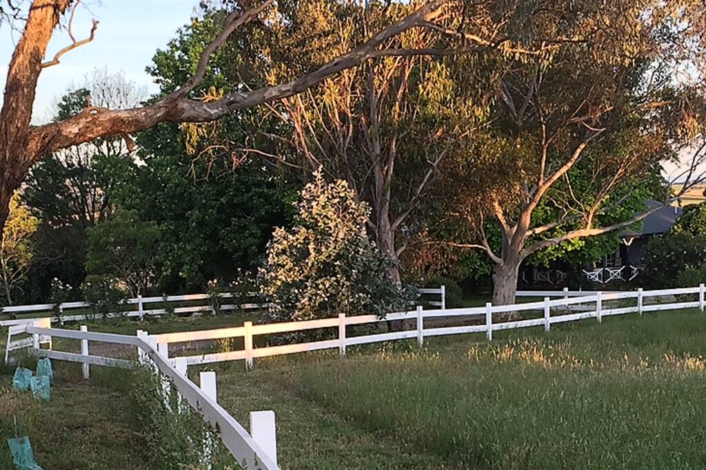 Enjoy long walks in the paddocks of Tullyvale Farm.