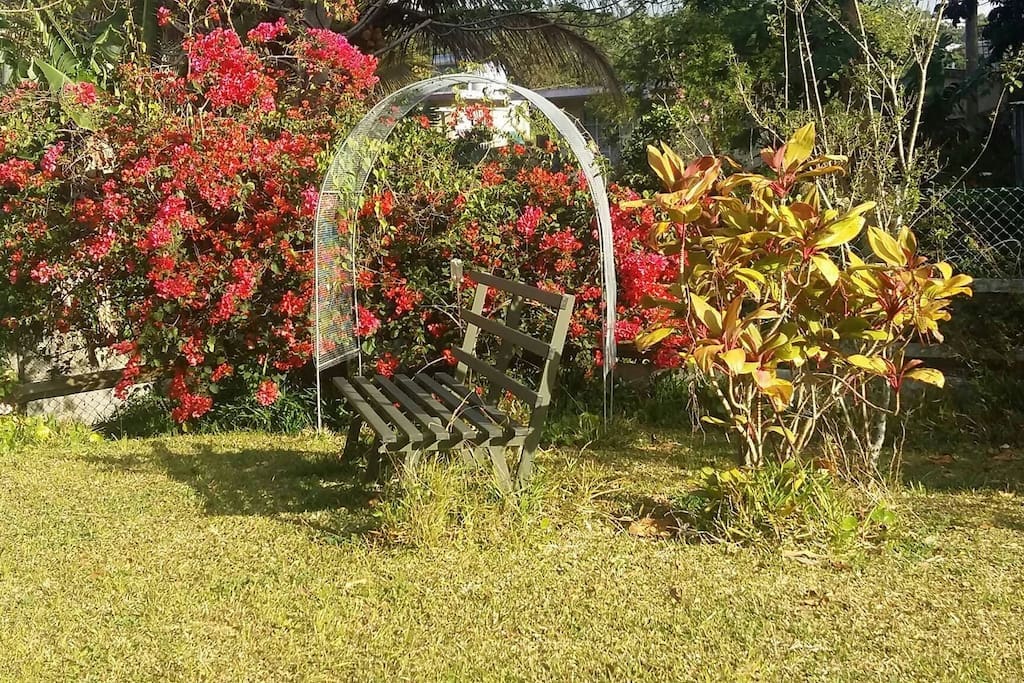 Jardin au bout duquel une petite rivière coule