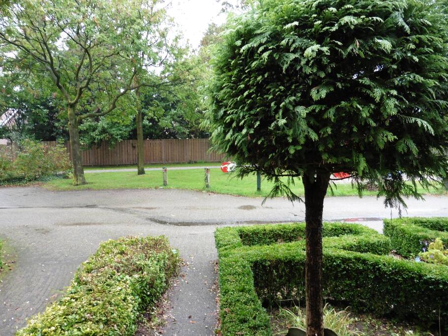 clear green view. Children's playground in front of the house!