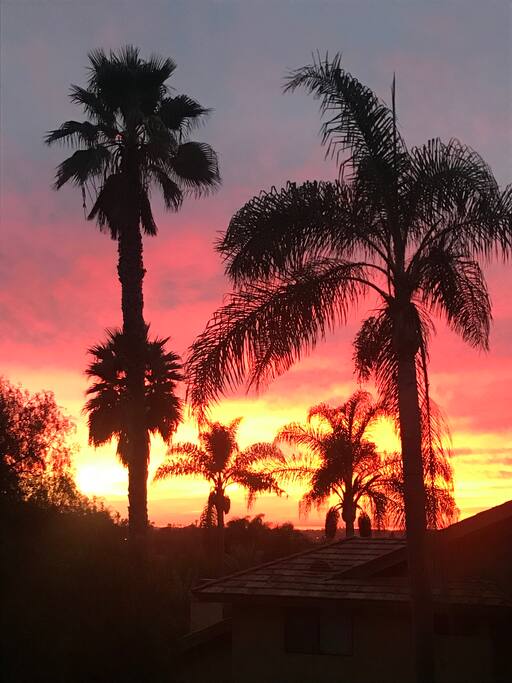 This really is our back yard!