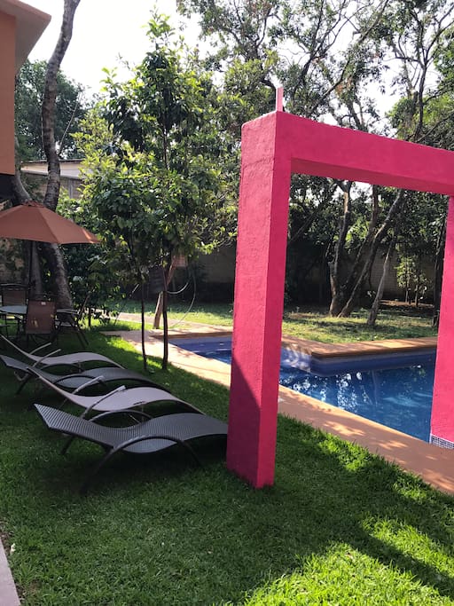 Bellas vistas hacia al jardín con árboles frutales.