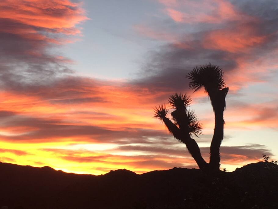 ...and so the sun sets on Rancho Rockotillo...
