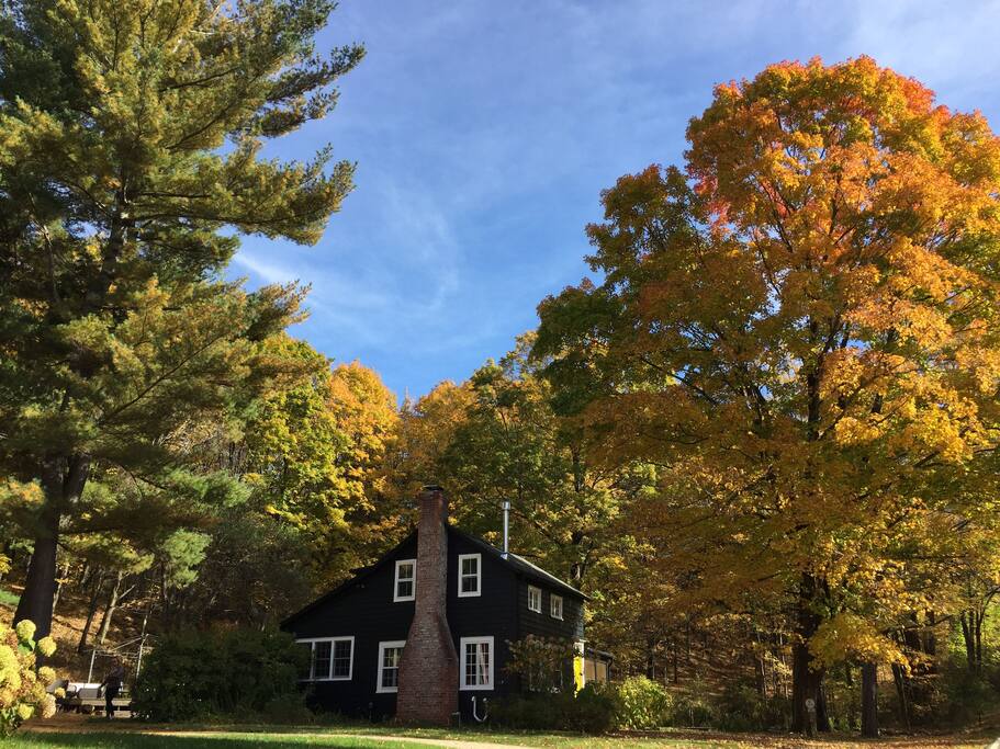 Fall colors (and a new paint job)