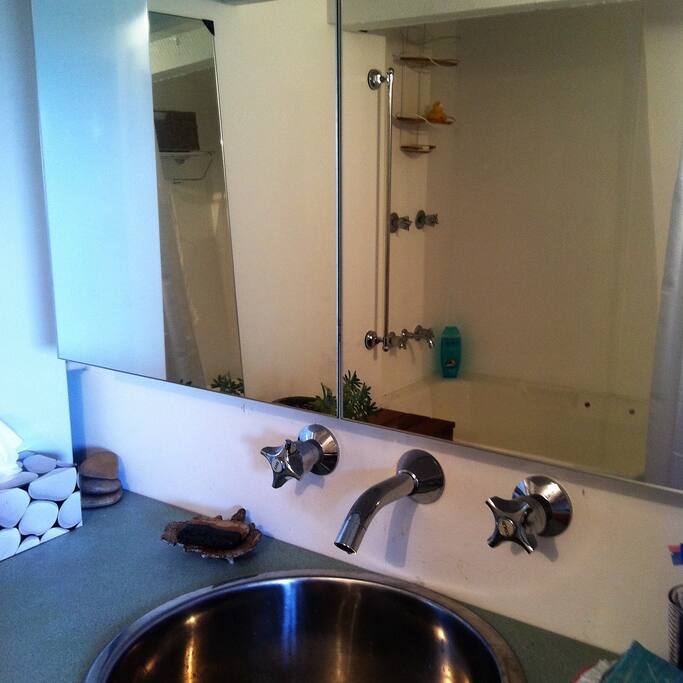 Your bathroom/Laundry space