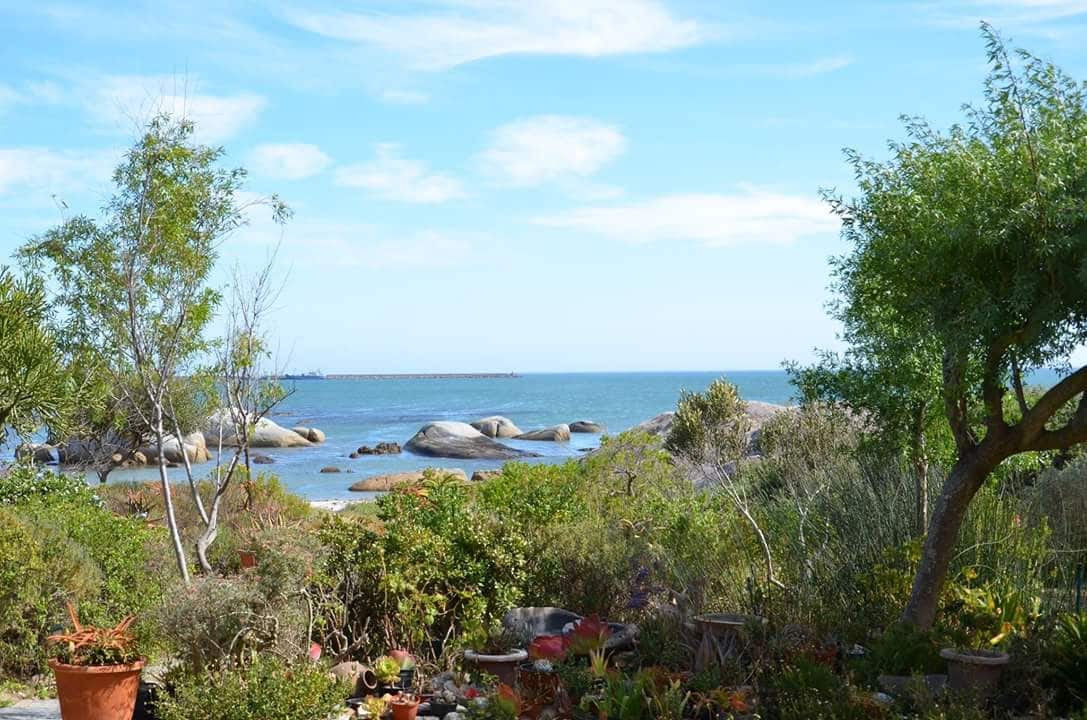 A serene view of the sea is framed by a natural garden, featuring various plants and a large rock formation. The calm water extends to the horizon under a clear blue sky, while gentle waves interact with the sandy beach in the foreground.