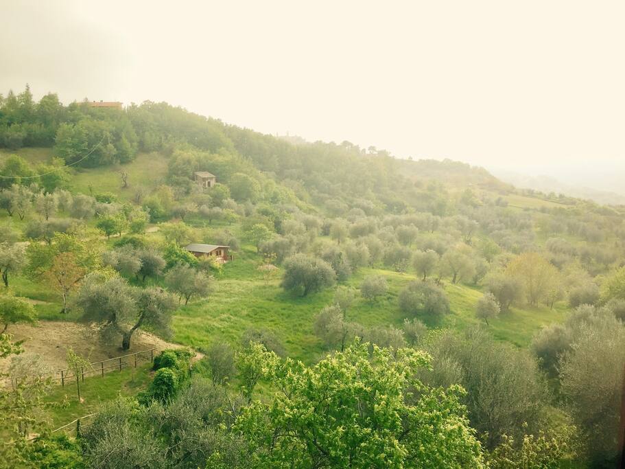PANORAMA