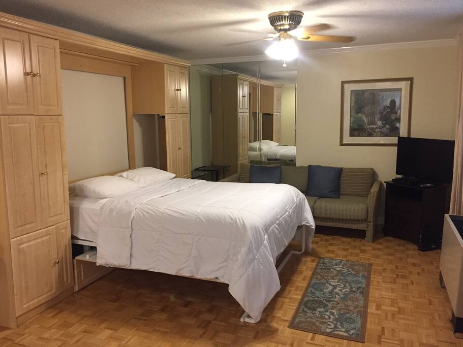 Pull out wallbed with couch and tv