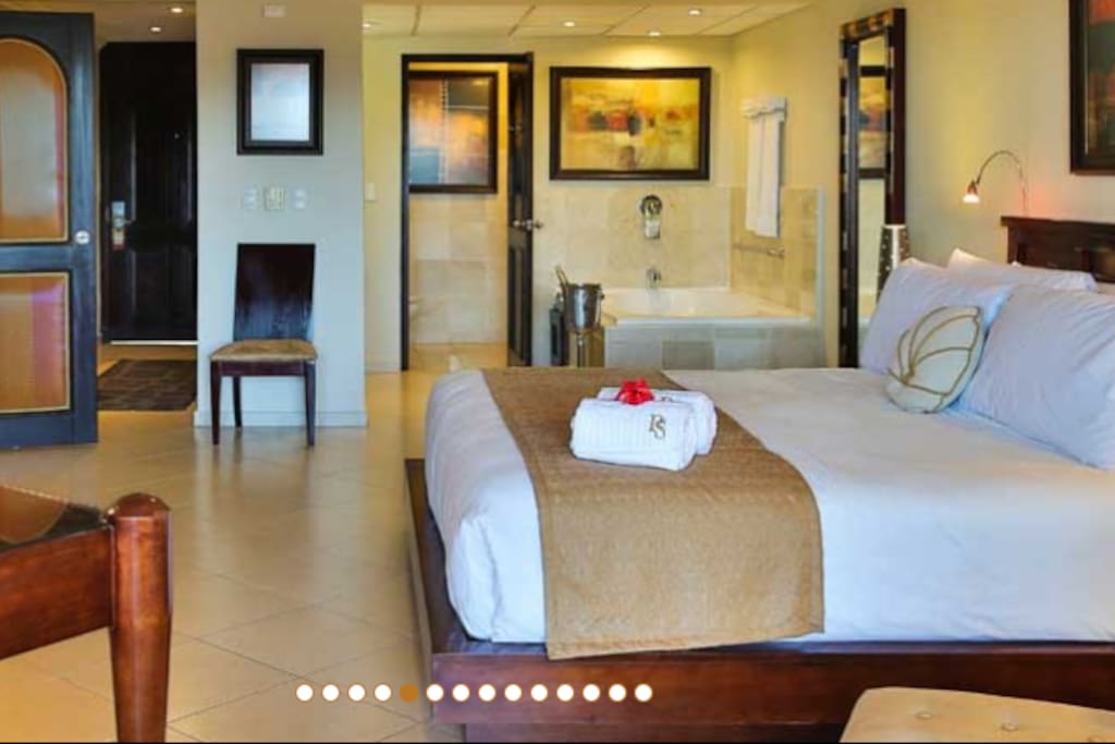 Master room with jacuzzi tub