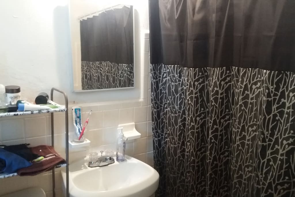 Renovated shower