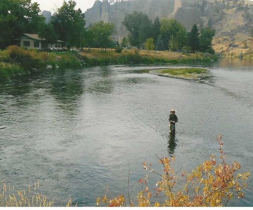 Ok, What are they biting on?