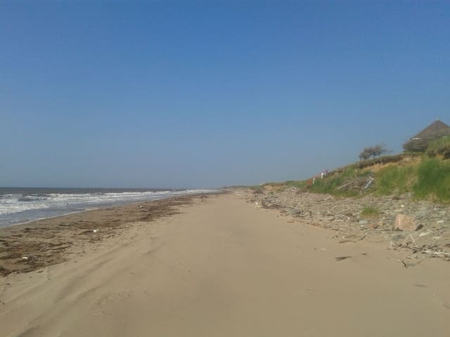 Beachfront cottage/ chalet de la plage avec wifi