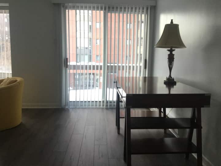 Bright, Renovated, Spacious 3 Bedrooms, 2 Bathroom - Montréal, QC