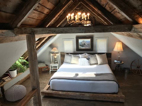 Le p'tit blanc -- on the Cabot Trail