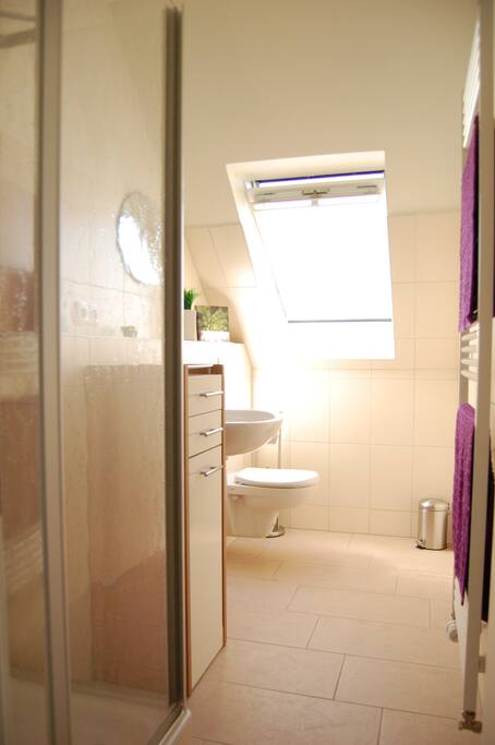Badezimmer mit Dusche, Waschbecken und WC