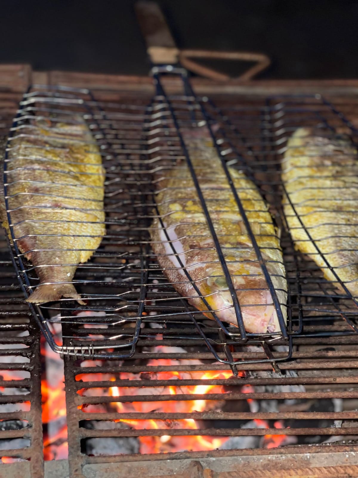 Three fish are displayed on a grill, resting on a metal mesh rack. The grill sits over glowing coals, with the fiery orange and red embers providing warmth. The fish have a golden-brown exterior, indicating they are being prepared for cooking.