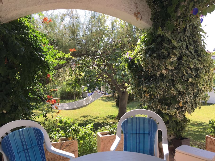 View on the garden from the patio