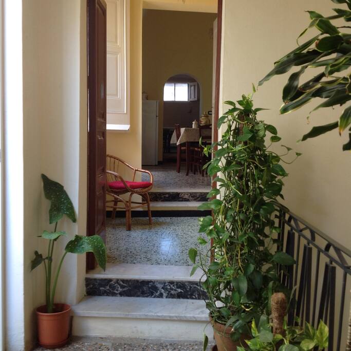 INGRESSO