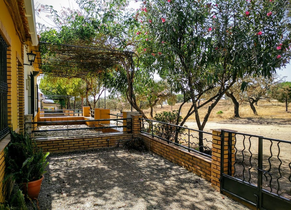 Acceso,patio delantero