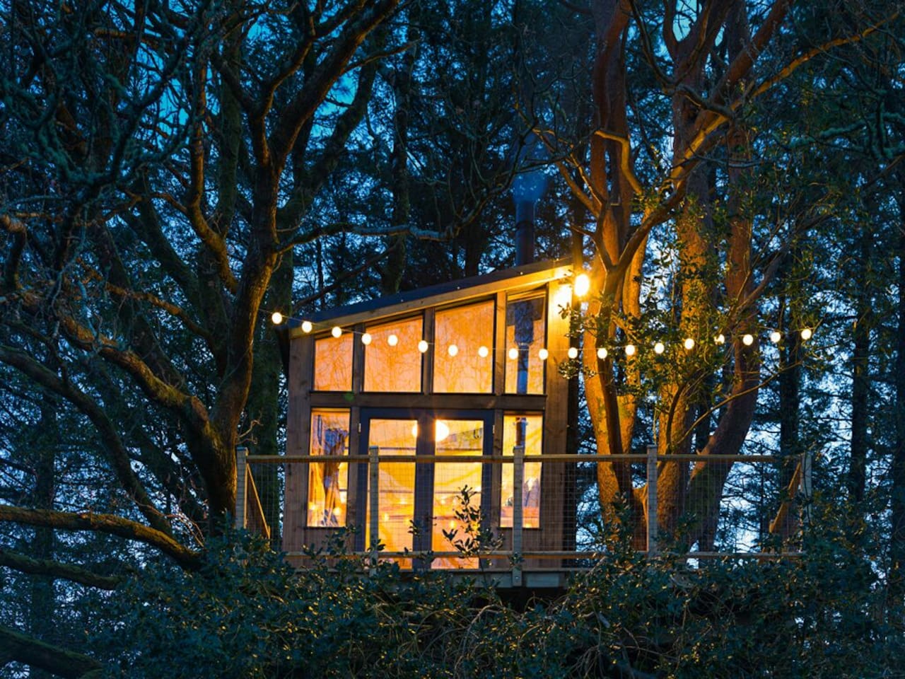 The front of the treehouse nestled in mature trees.