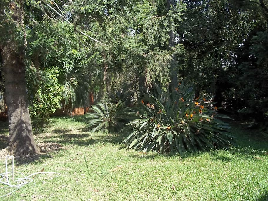 Área verde cercada
