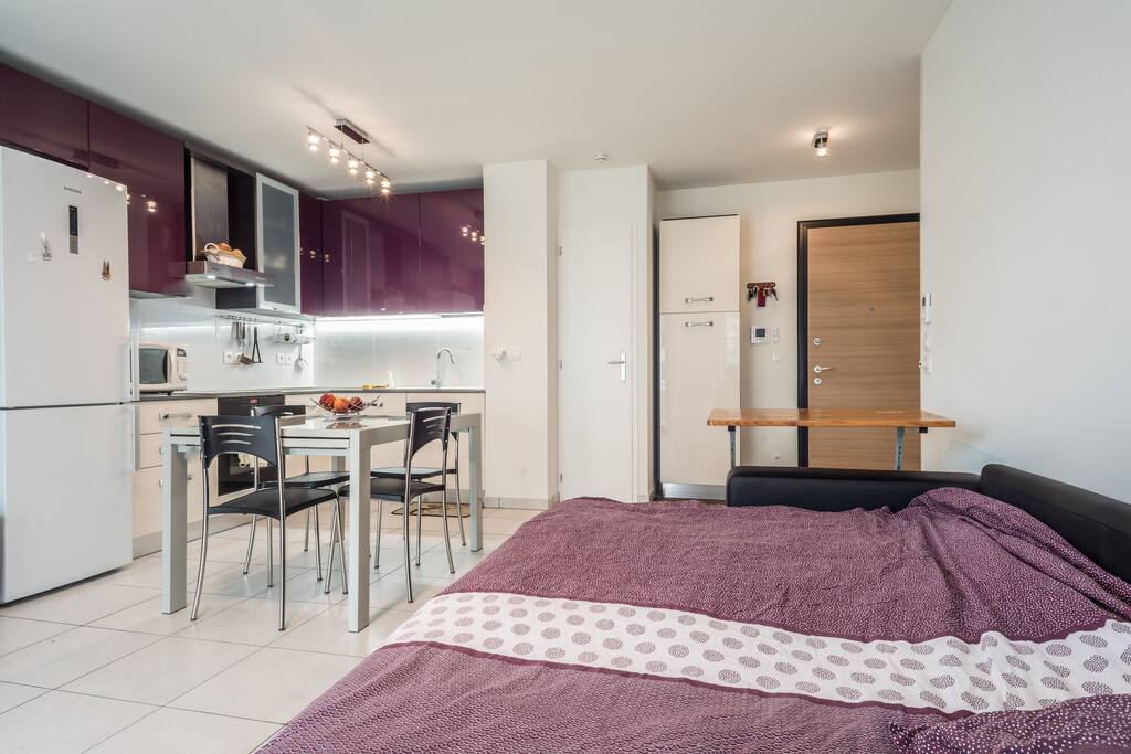 living Room with kitchen and sofabed