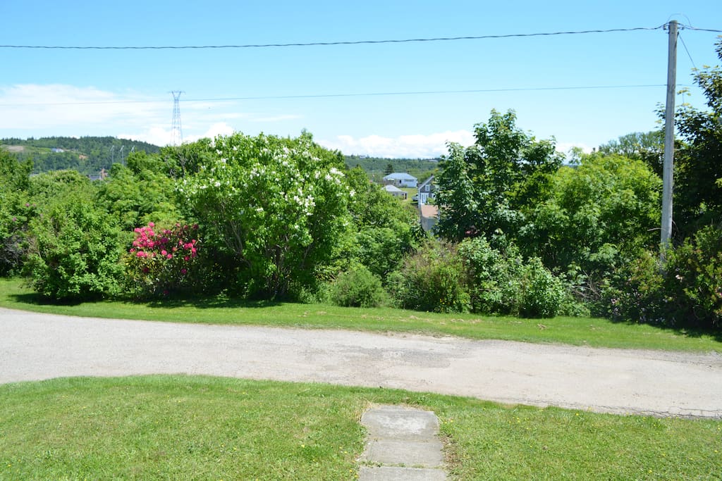 The front yard view