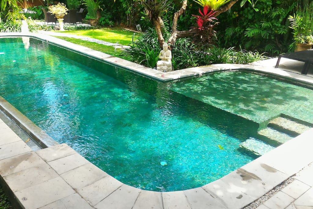 Private L Shaped Pool with children section