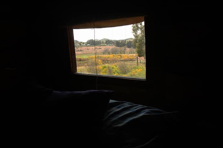 საძინებელი