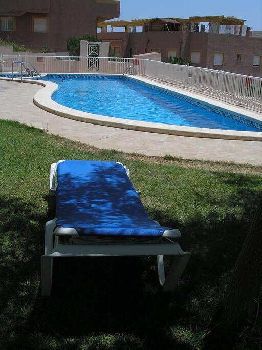 Tumbonas en la piscina